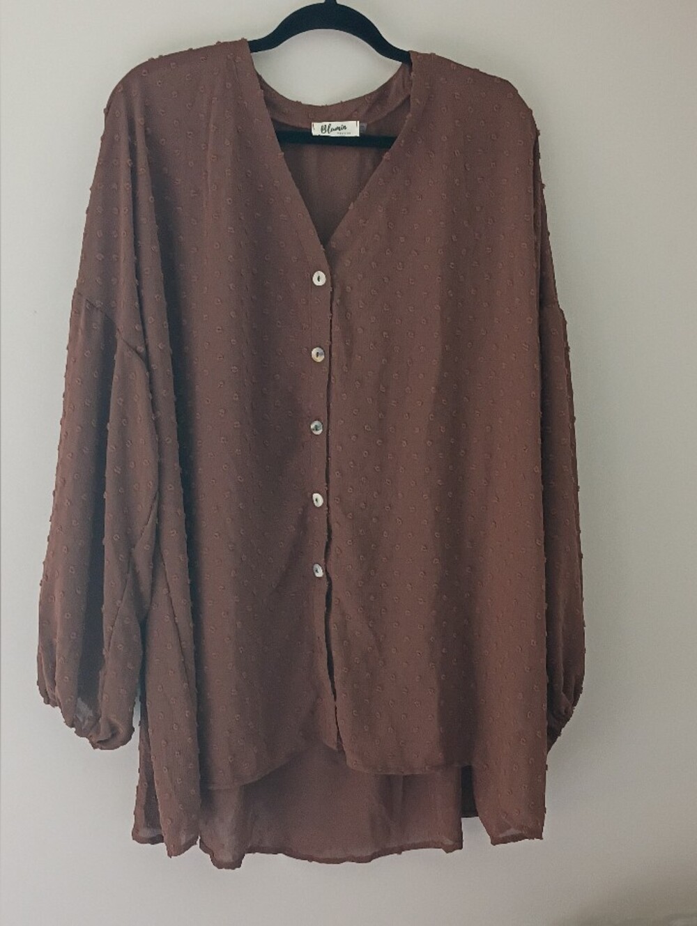 Blumin Women's Brown Swiss Dot Blouse